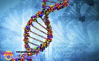 Despre înălțare, în termeni practici (Fondatorii și Leah, prin Sal Rachele) - schimbare ADN